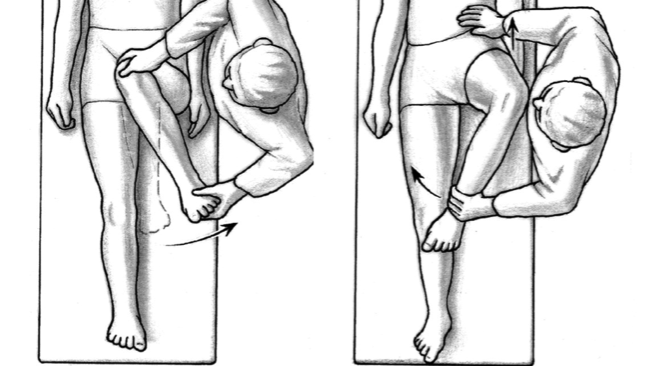 Internal Rotate Hip